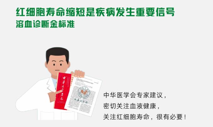 關(guān)于紅細胞壽命，你知道多少？