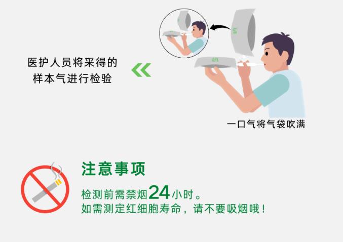 關(guān)于紅細胞壽命，你知道多少？